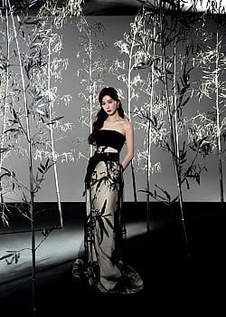 Liu Shishi